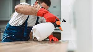 Best Pest Control for Restaurants and Food Service  in Heber Springs, AR